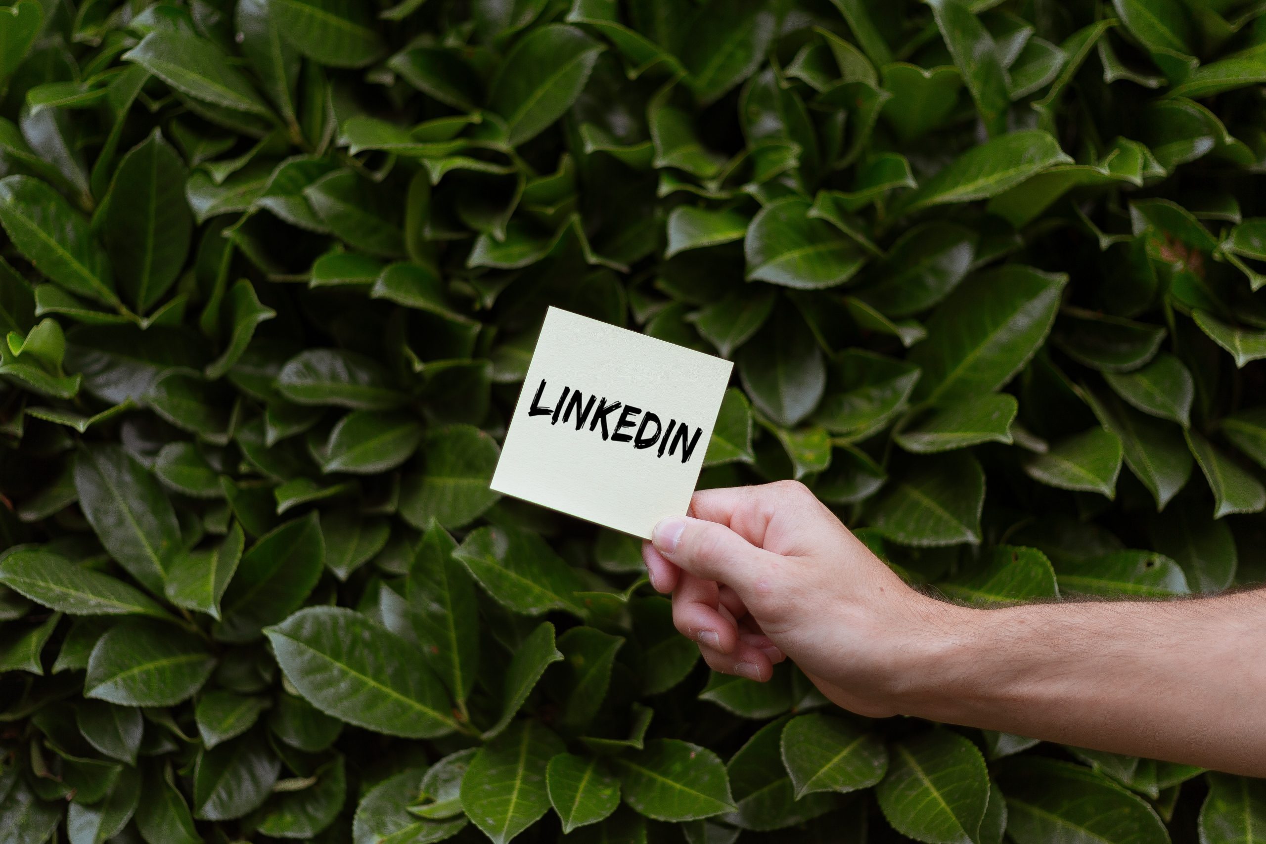 Tips to Optimize your Linkedin Profile